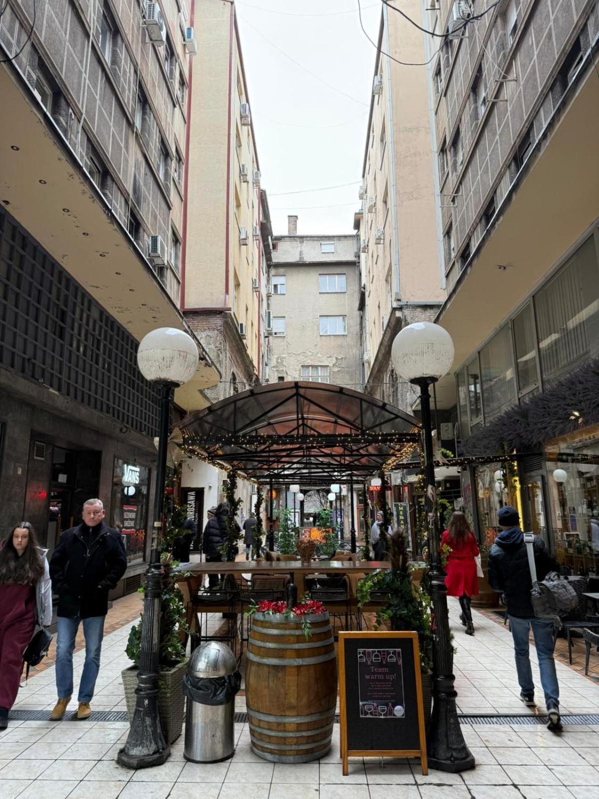Knez Mihailova Apartment, City Center Belgrad Zewnętrze zdjęcie